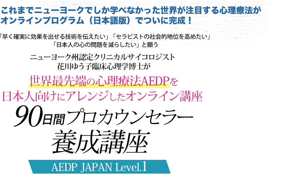 AEDP JAPAN Level.1