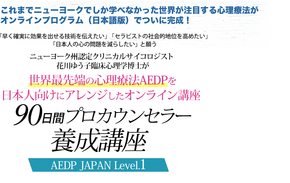 AEDPJAPAN | 90日間プロカウンセラー養成講座～AEDP JAPAN Level１～